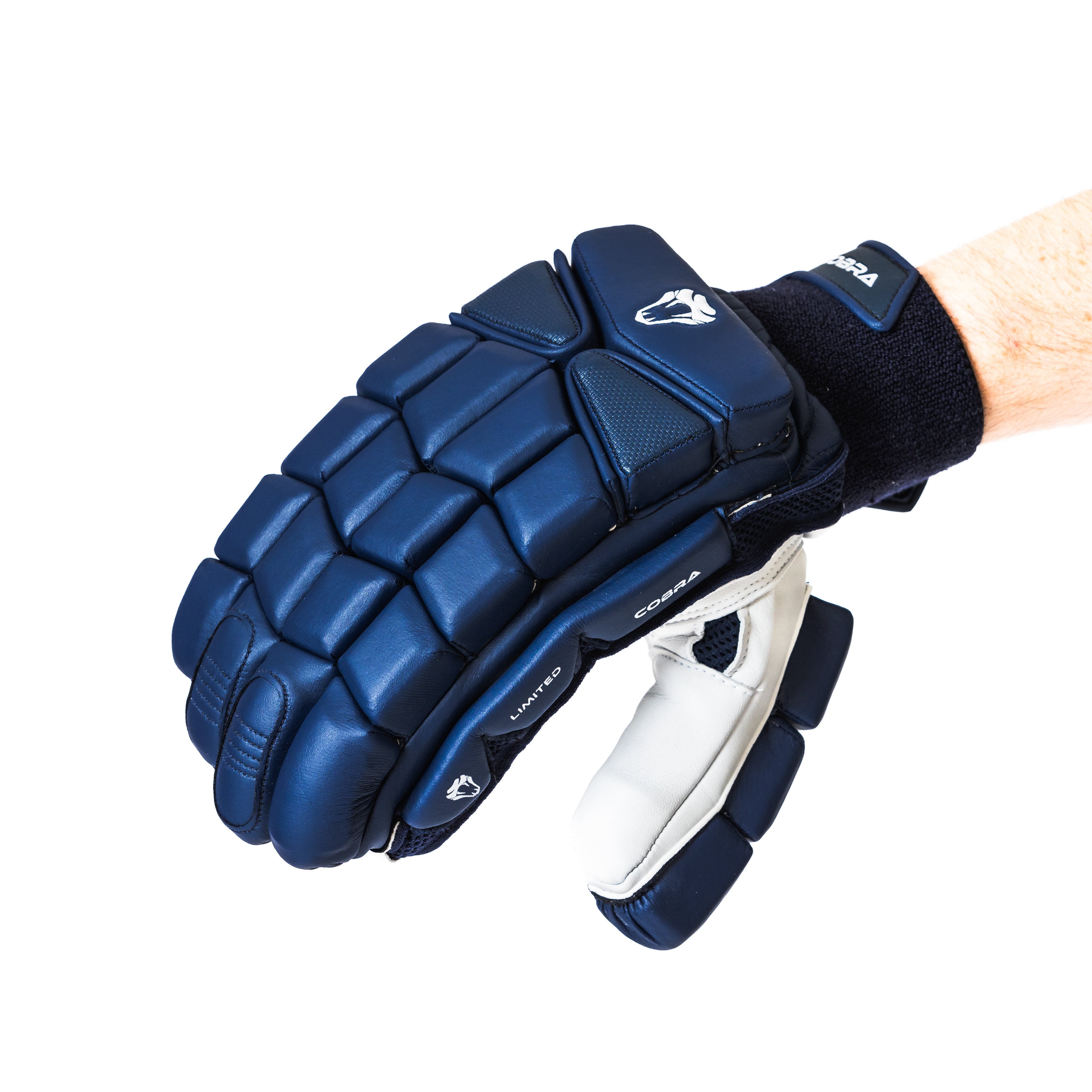 2025 LIMITED EDITION CRICKET GLOVES NAVY BLUE COLOUR