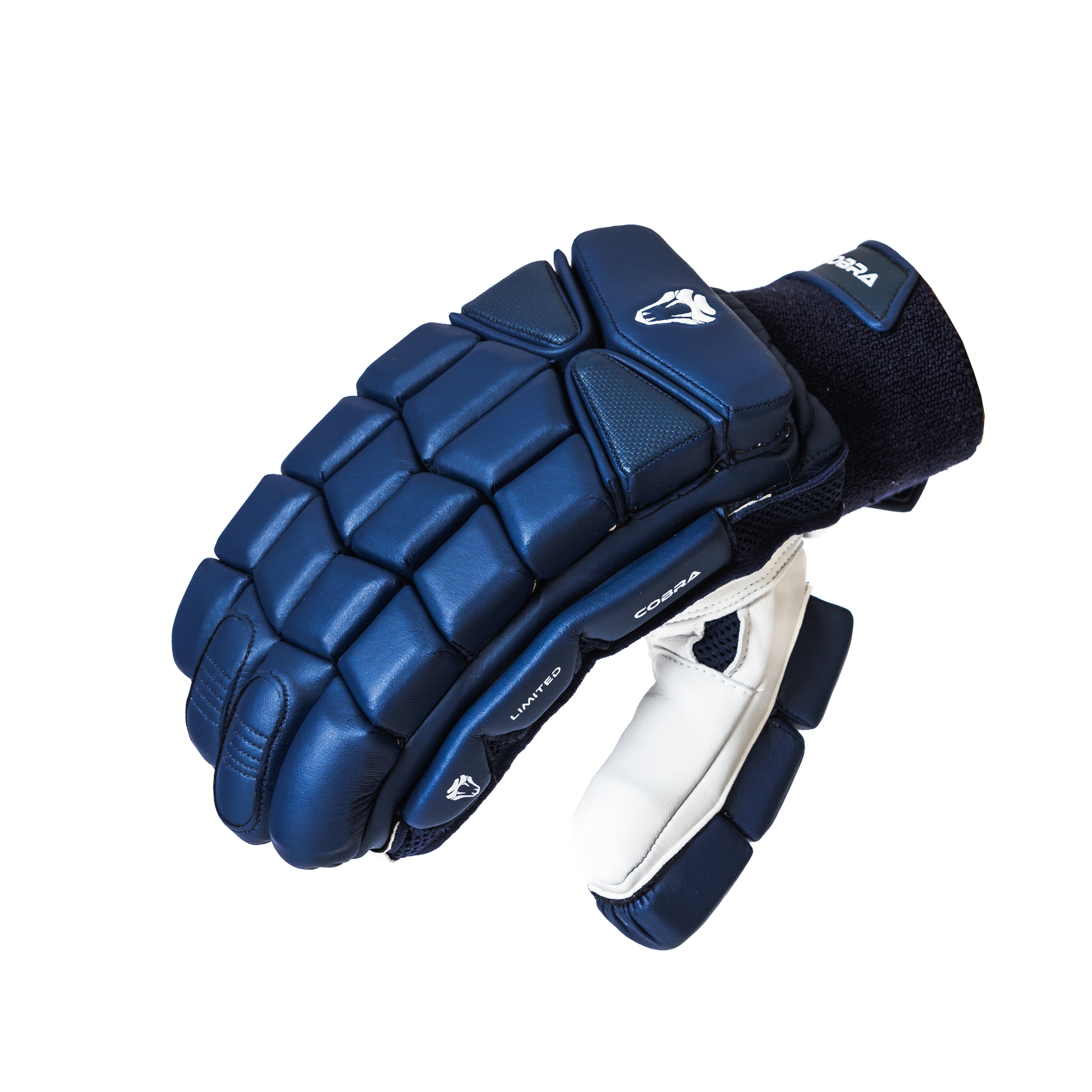 2025 LIMITED EDITION CRICKET GLOVES NAVY BLUE COLOUR