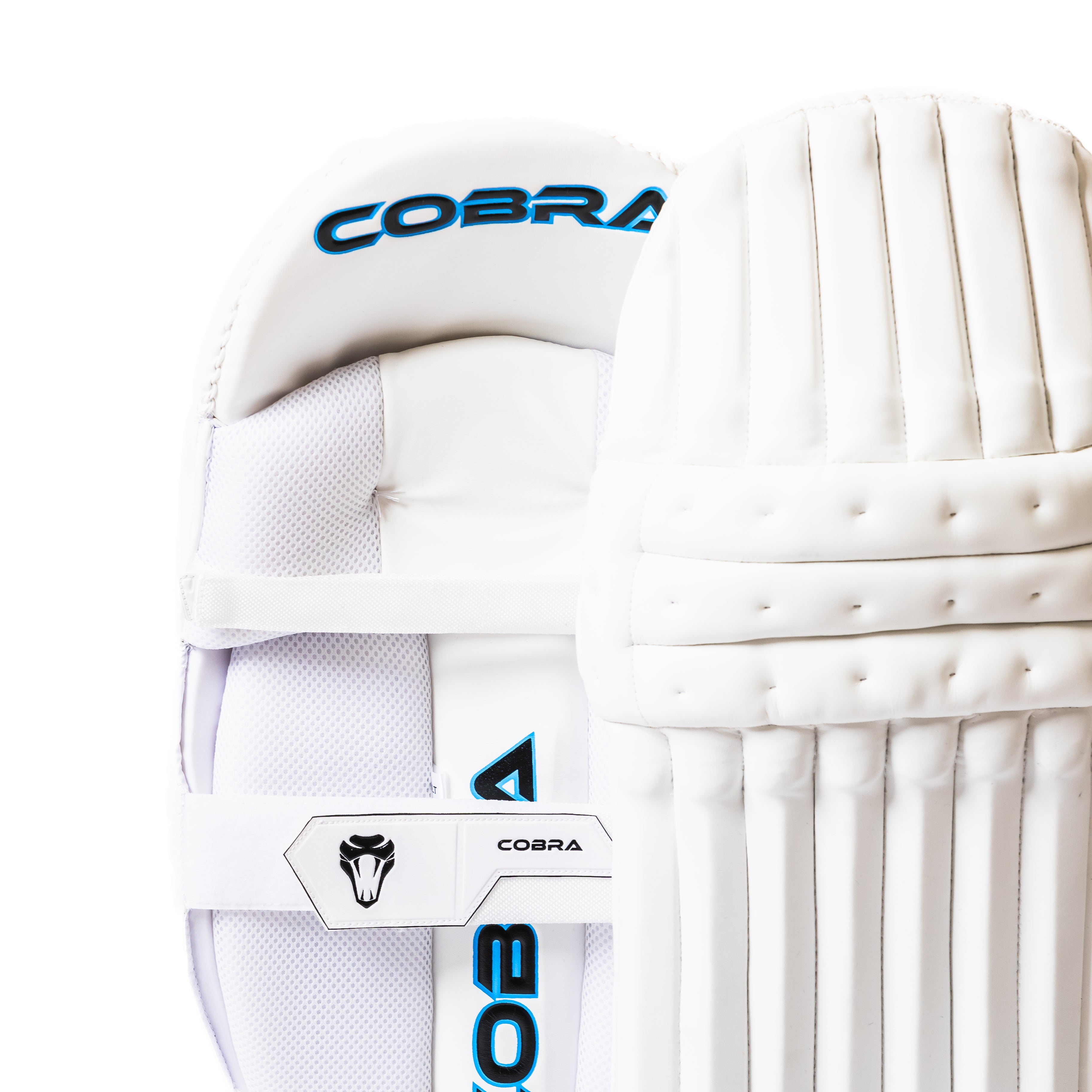 2025 PRO EDITION PADS & GLOVES BUNDLE - Cobra Cricket 