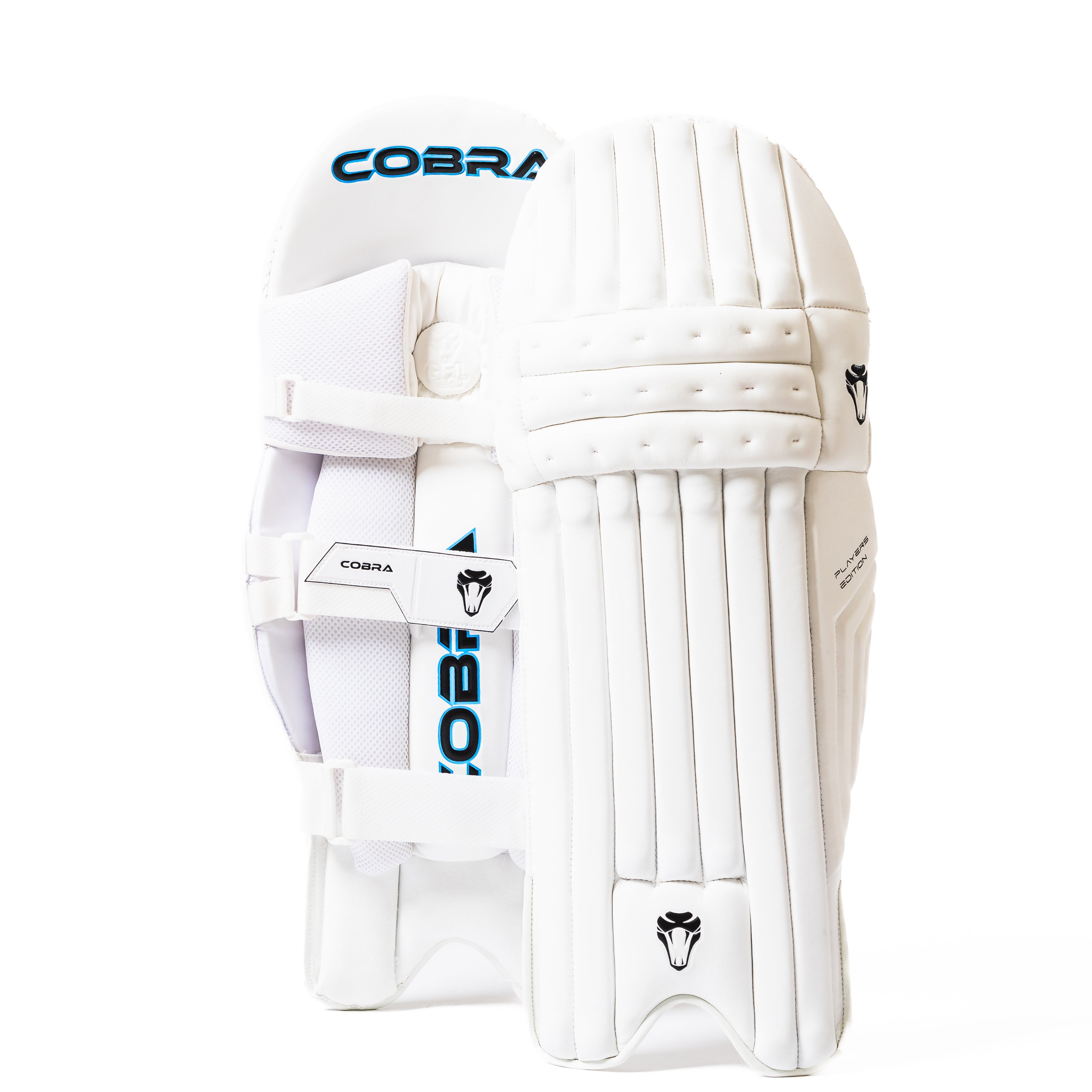 2025  CUSTOM PLAYERS BAT(G3), PLAYERS PADS , PLAYERS GLOVES, PLAYERS DUFFLE BAG