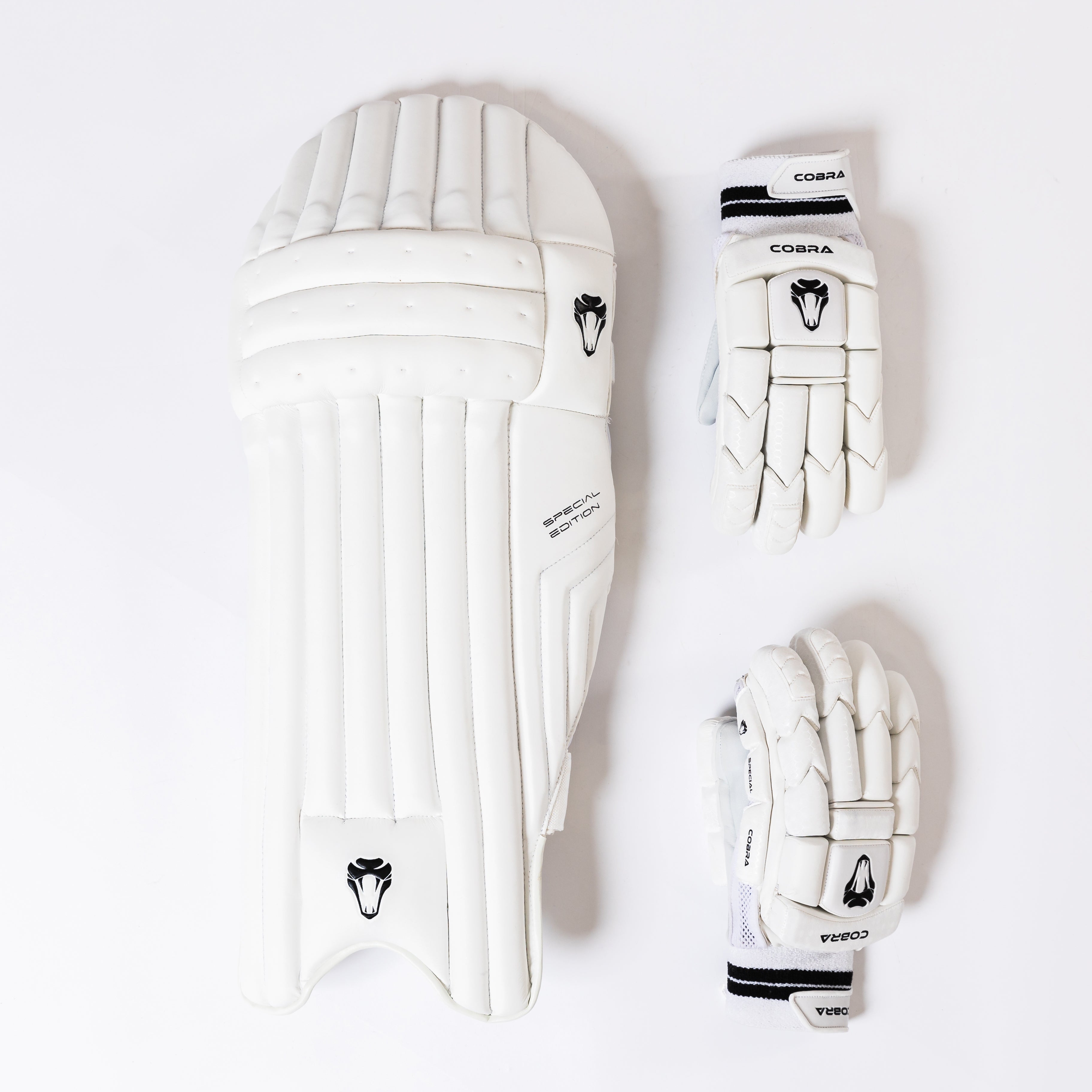 2025 SPECIAL EDITION PADS & GLOVES BUNDLE