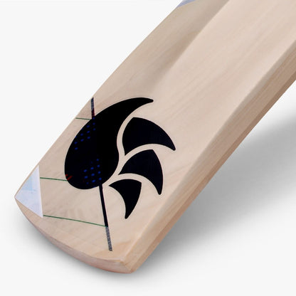 Condor Scud Kashmir Willow Bat