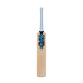 GM Diamond Junior Cricket Bat 404