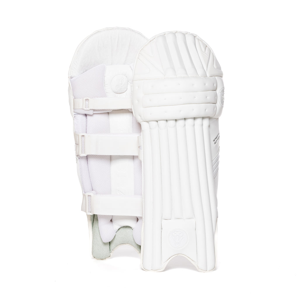 2023 FULL SPECIAL EDITION BAT BUNDLE - SPECIAL EDITION BAT, SE PADS , SE GLOVES, PLAYERS DUFFLE BAG - Cobra Cricket 