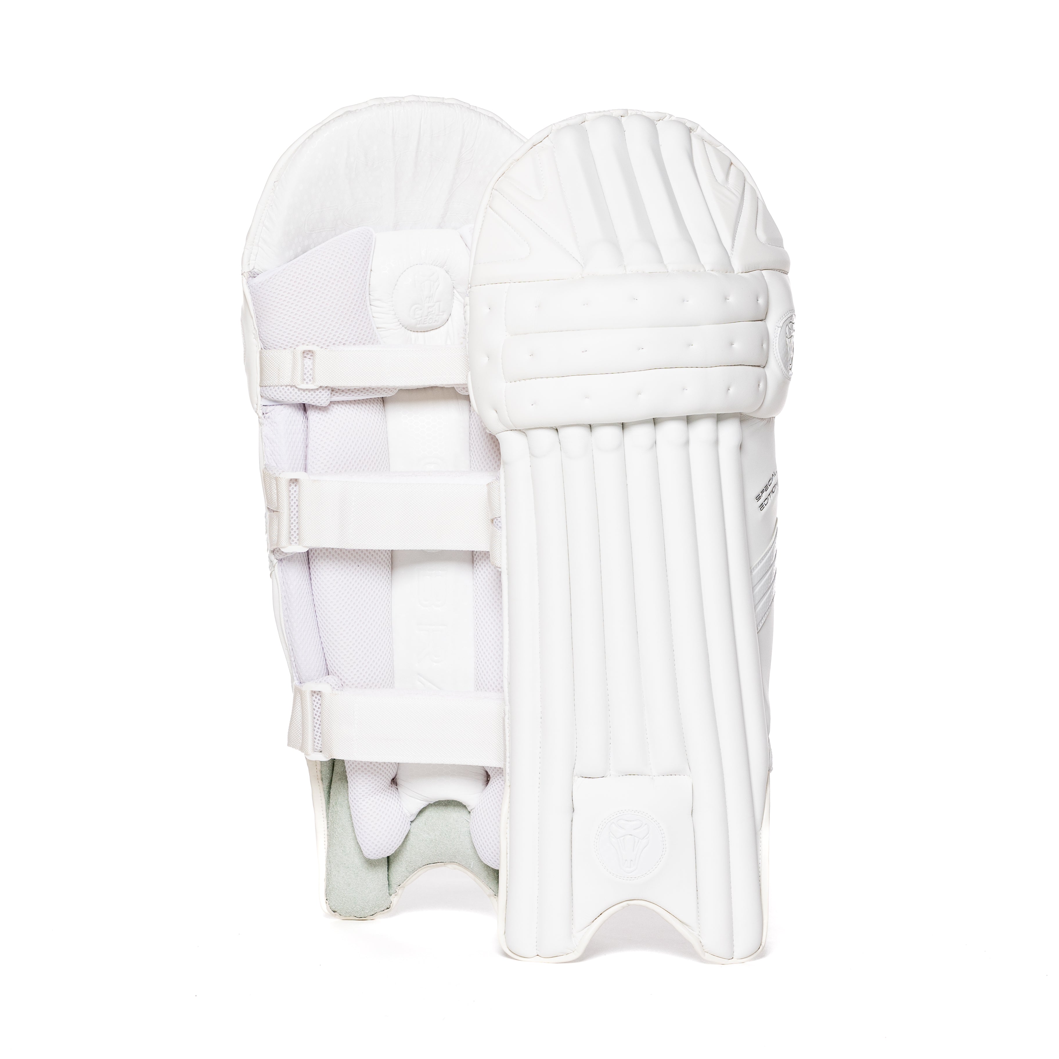 2023 FULL SPECIAL EDITION BAT BUNDLE - SPECIAL EDITION BAT, SE PADS , SE GLOVES, PLAYERS DUFFLE BAG - Cobra Cricket 
