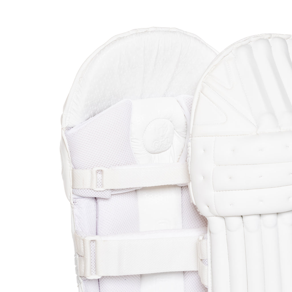 2023 FULL SPECIAL EDITION BAT BUNDLE - SPECIAL EDITION BAT, SE PADS , SE GLOVES, LIMITED EDITION DUFFLE BAG - Cobra Cricket 