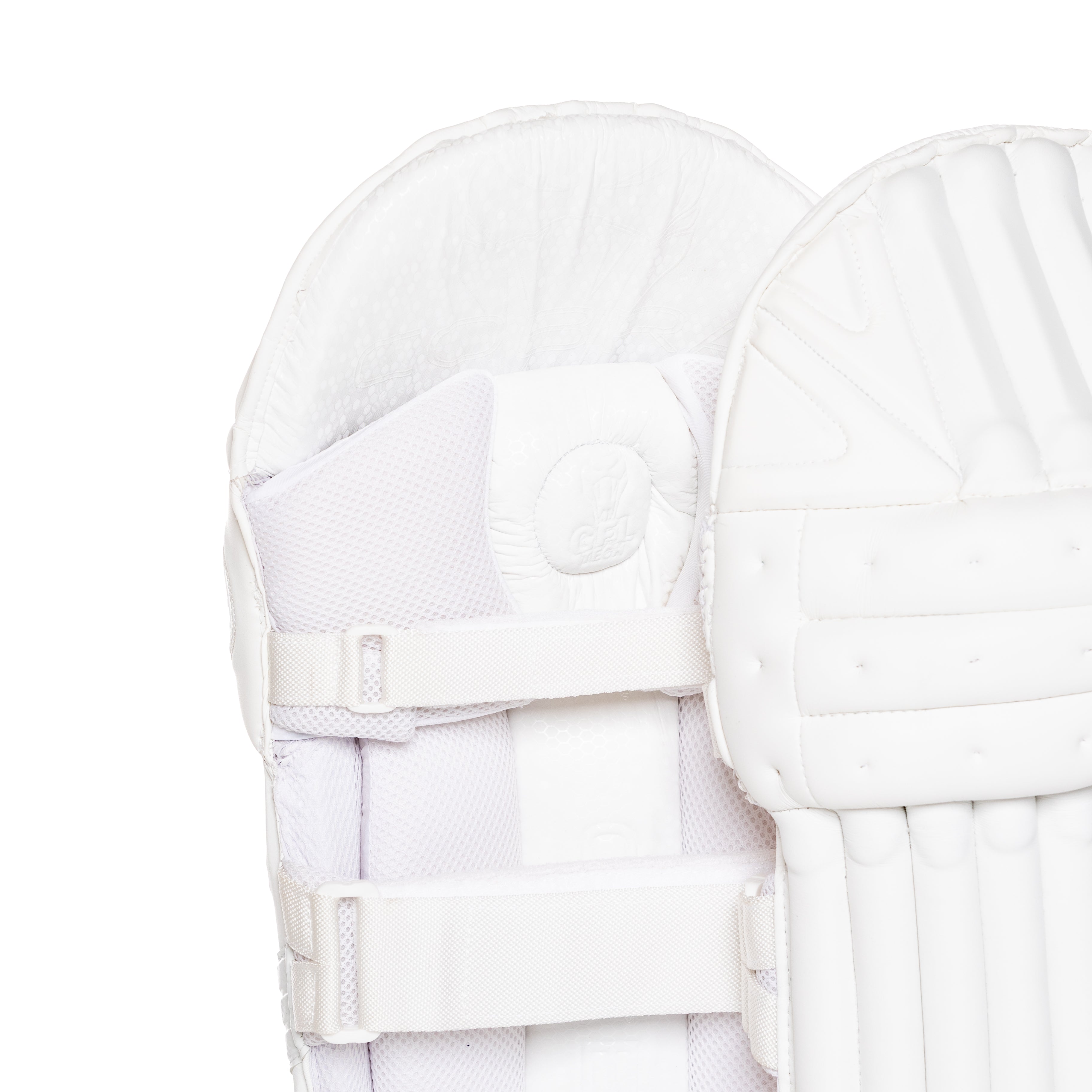2023 FULL SPECIAL EDITION BAT BUNDLE - SPECIAL EDITION BAT, SE PADS , SE GLOVES, LIMITED EDITION DUFFLE BAG - Cobra Cricket 