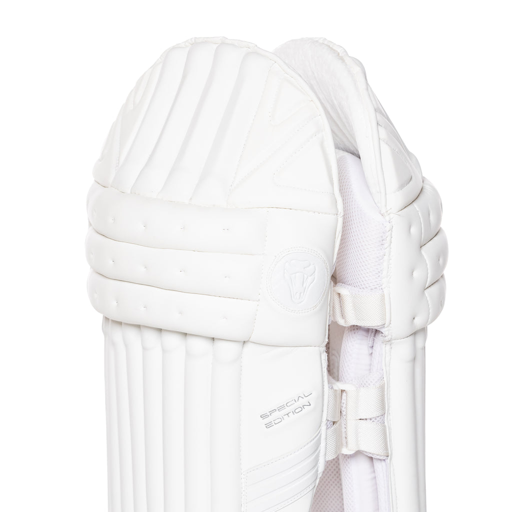 2023 FULL SPECIAL EDITION BAT BUNDLE - SPECIAL EDITION BAT, SE PADS , SE GLOVES, PLAYERS DUFFLE BAG - Cobra Cricket 