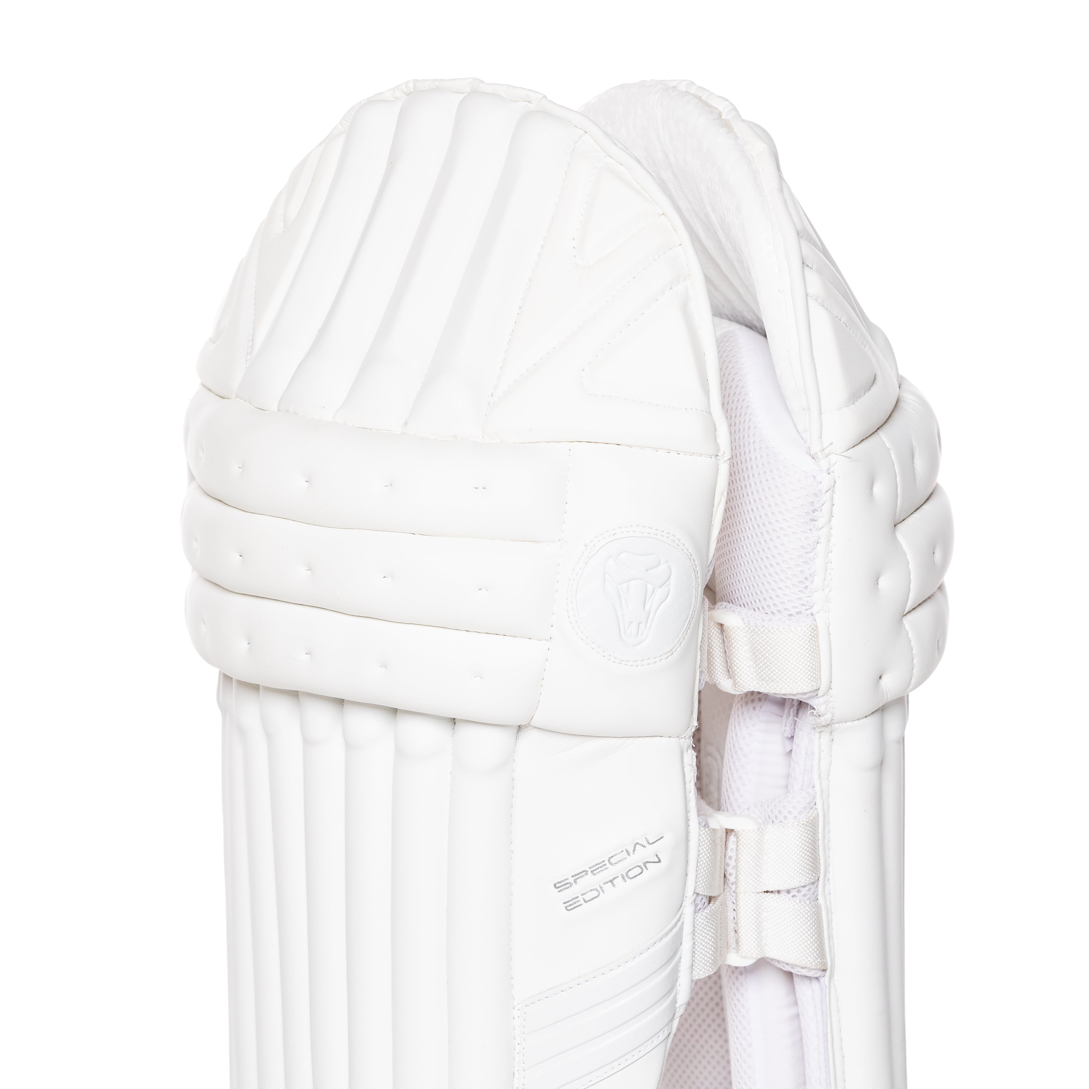 2023 FULL SPECIAL EDITION BAT BUNDLE - SPECIAL EDITION BAT, SE PADS , SE GLOVES, PLAYERS DUFFLE BAG - Cobra Cricket 