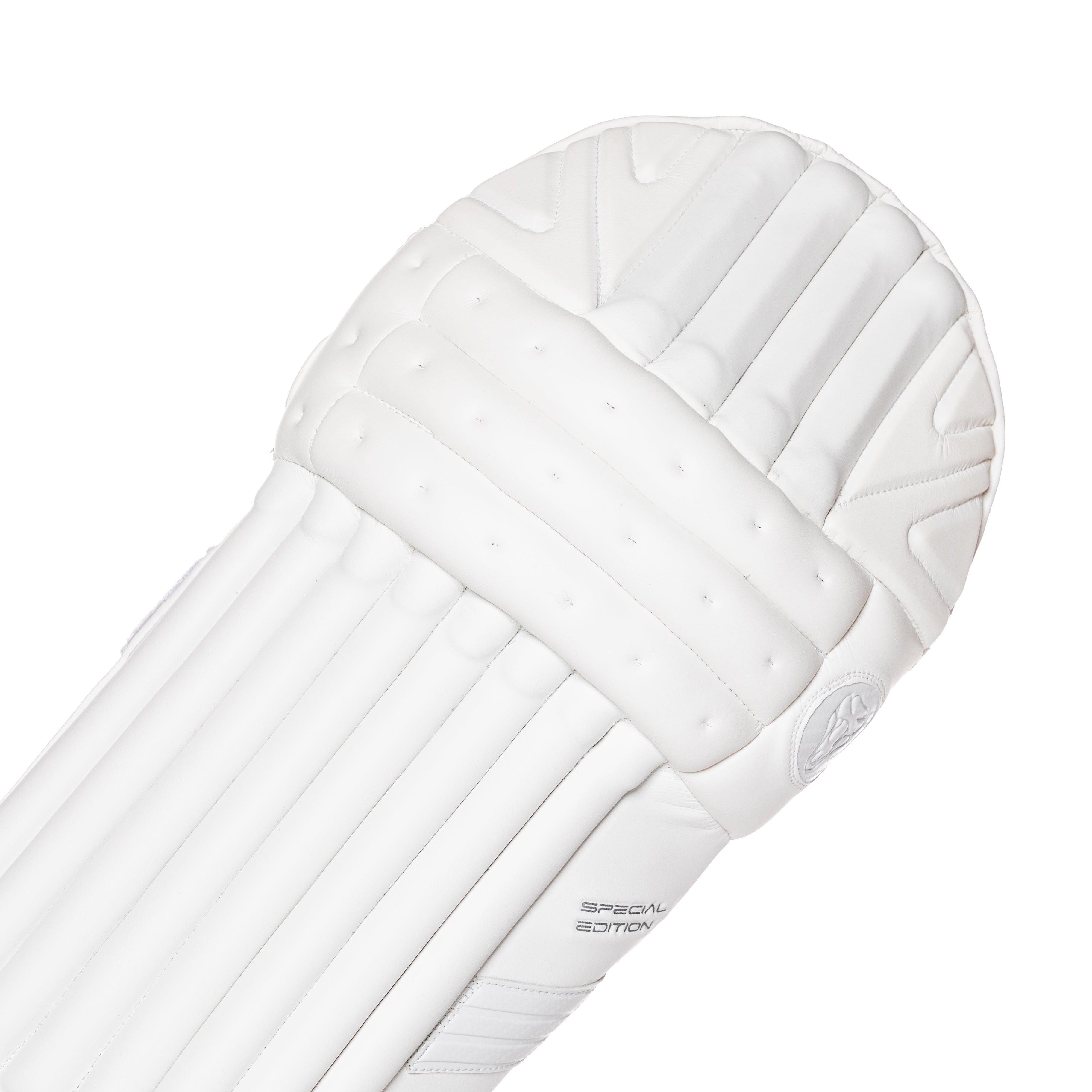2023 FULL SPECIAL EDITION BAT BUNDLE - SPECIAL EDITION BAT, SE PADS , SE GLOVES, PLAYERS DUFFLE BAG - Cobra Cricket 