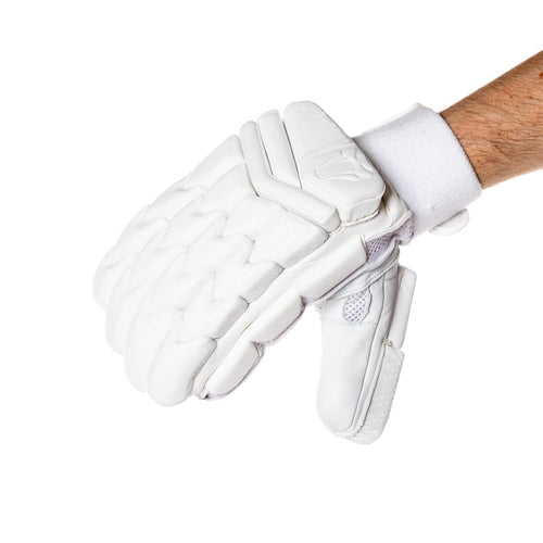 2023 LIMITED EDITION CRICKET GLOVES - Cobra Cricket 